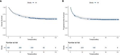 Prognostic significance of the systemic immune-inflammation index in patients with extranodal natural killer/T-cell lymphoma